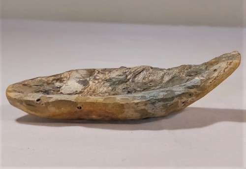 FOSSIL FISH FROM MOROCCO PRESERVED WITH AMAZING DETAIL IN 3D MANNER - 15,5CM LONG - 100 MIL YRS