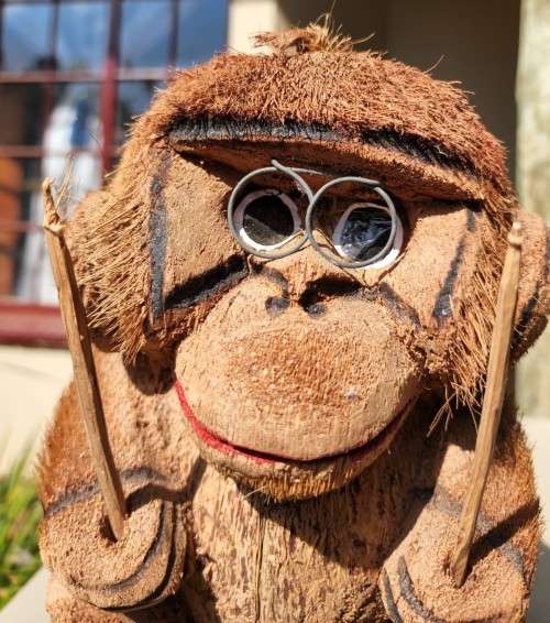CUTE COCONUT MONKEY PLAYING DRUMS