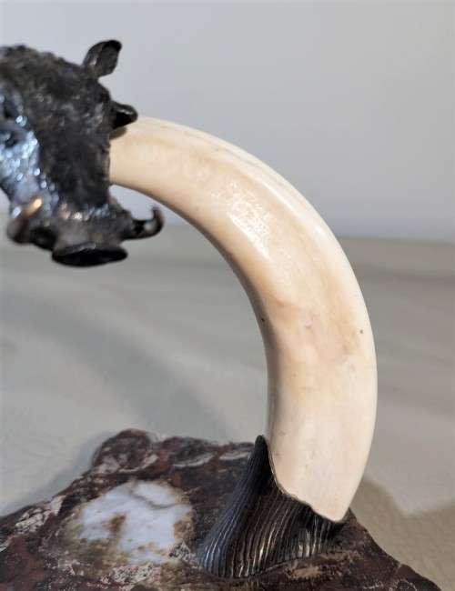 STRIKING WARTHOG TUSKS MOUNTED POCKET WATCH STAND WITH POSSIBLE SILVER MASQUE (WATCH NOT INCLUDED)