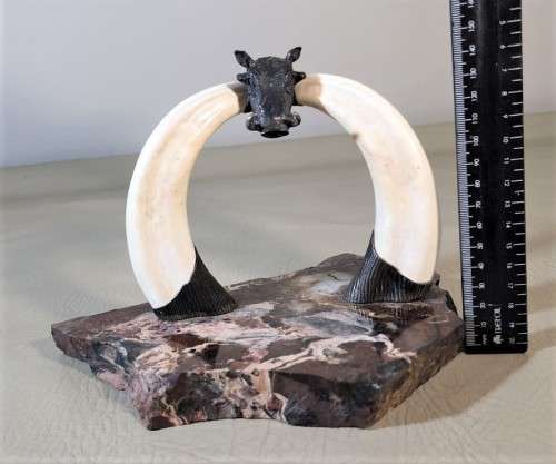 STRIKING WARTHOG TUSKS MOUNTED POCKET WATCH STAND WITH POSSIBLE SILVER MASQUE (WATCH NOT INCLUDED)