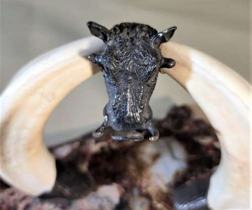 STRIKING WARTHOG TUSKS MOUNTED POCKET WATCH STAND WITH POSSIBLE SILVER MASQUE (WATCH NOT INCLUDED)