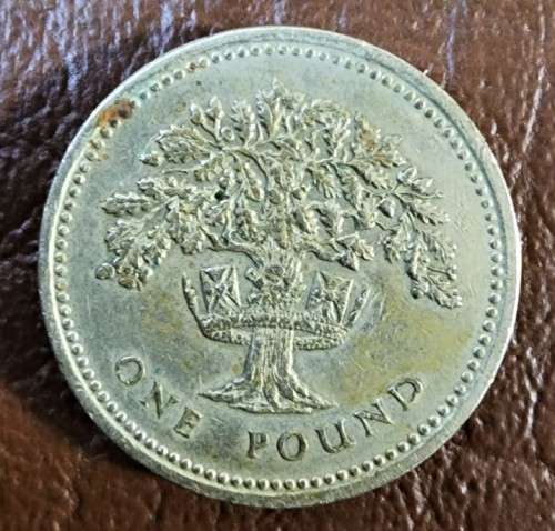 A RARE 1983 UNITED KINGDOM ONE POUND COIN PLUS AN 1984 SCOTTISH 1 POUND COIN AND A 1987 ENGLISH 1 PO