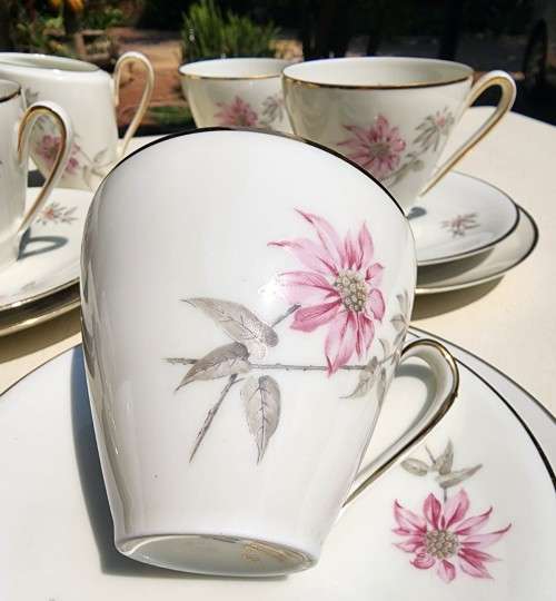 ALKA KUNST BAVARIA GERMANY 1950S SILVER OVERLAID PORCELAIN TEA SET  19 PIECES  HANDPAINTED - RARE