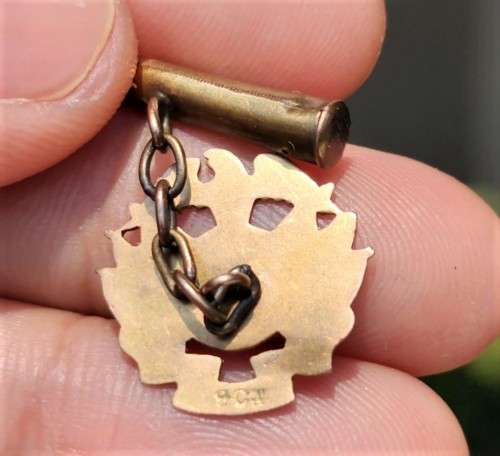 POSSIBLE OSSEWABRANDWAG 9CT GOLD EAGLE LAPEL MEMBERSHIP BADGE
