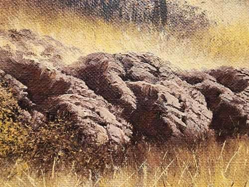 STOFPAD IN DIE VELD 1983 OIL ON CANVAS ON BOARD BY NICO COETZEE (SA ARTIST DECEASED) (70CM W 40CM H)