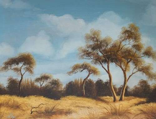 ORIGINAL BUSHVELD TYPE LANDSCAPE OIL ON CANVAS SIGNED BY ARTIST `PURSE` VINTAGE! LARGE 74CM W 64CM H