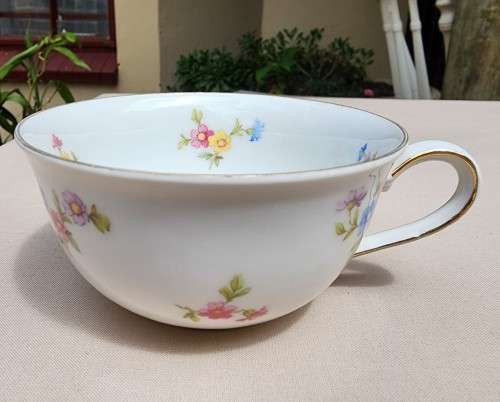 RARE SELTMANN WEIDEN ERBENHOF BAVARIA GERMANY INKA QUALITATS 23 PIECE TEASET