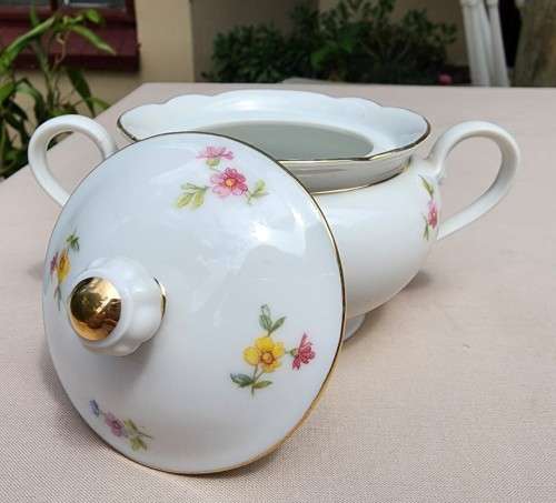 RARE SELTMANN WEIDEN ERBENHOF BAVARIA GERMANY INKA QUALITATS 23 PIECE TEASET