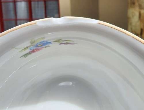 RARE SELTMANN WEIDEN ERBENHOF BAVARIA GERMANY INKA QUALITATS 23 PIECE TEASET