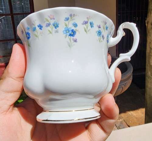 ROYAL ALBERT VINTAGE 1960S-1970S MEMORY LANE PATTERN TRIO 7TH OF 9 ON AUCTION