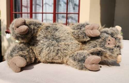 BORN IN SOUTH AFRICA A WARTHOG PLUSH TOY WITH WARTS AND ALL