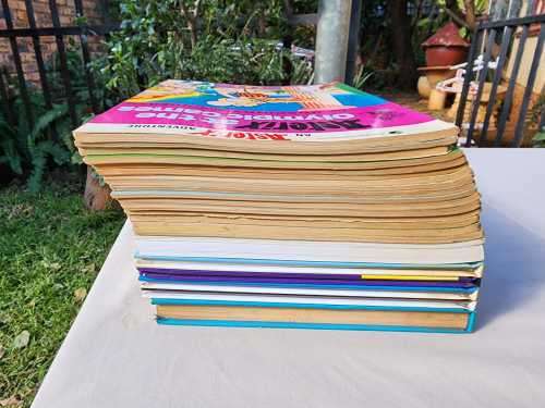 ASTERIX AND OBELIX MY 23 BOOK COLLECTION UP FOR AUCTION