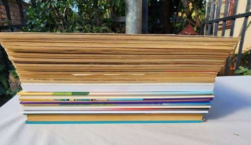 ASTERIX AND OBELIX MY 23 BOOK COLLECTION UP FOR AUCTION