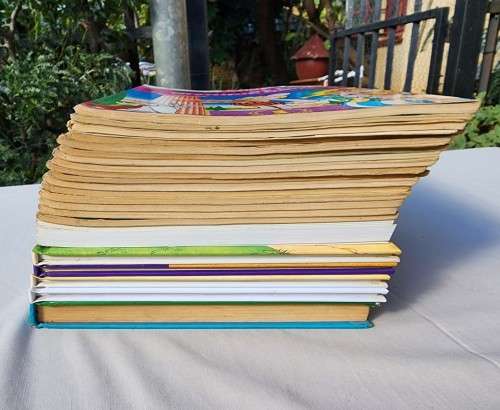 ASTERIX AND OBELIX MY 23 BOOK COLLECTION UP FOR AUCTION