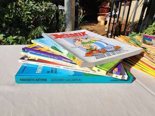 ASTERIX AND OBELIX MY 23 BOOK COLLECTION UP FOR AUCTION