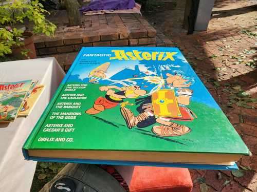 ASTERIX AND OBELIX MY 23 BOOK COLLECTION UP FOR AUCTION