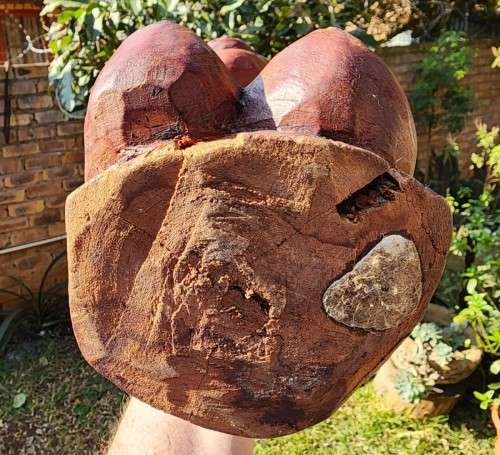 LARGE 41CM HIGH HARD WOOD AFRICAN WOMAN NAKED SCULPTURE BUST