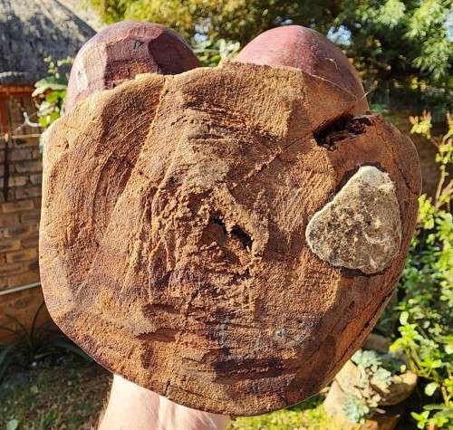 LARGE 41CM HIGH HARD WOOD AFRICAN WOMAN NAKED SCULPTURE BUST