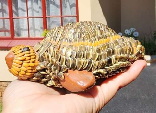 TWO CUTE SUNFLOWER SEED ART FIGURINES AN OWL AND TORTOISE