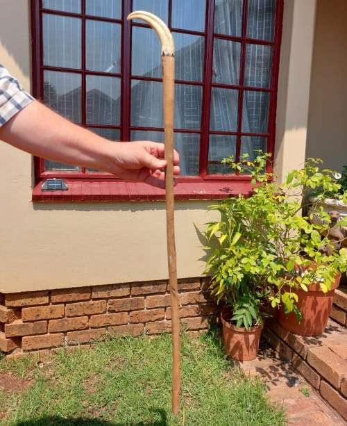 UNUSUAL AFRICAN WOODEN WALKING STICK WITH WARTHOG TUSK HANDLE