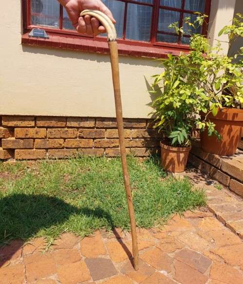 UNUSUAL AFRICAN WOODEN WALKING STICK WITH WARTHOG TUSK HANDLE