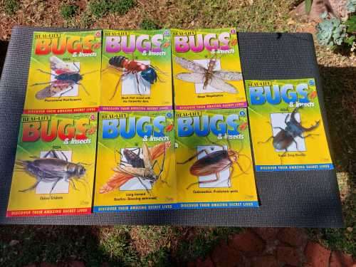 FOUR REAL BUGS IN RESIN COLLECTION - SOME OF THE MOST AMAZING CREATURES ON EARTH
