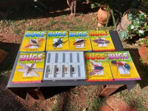 FOUR REAL BUGS IN RESIN COLLECTION - SOME OF THE MOST AMAZING CREATURES ON EARTH