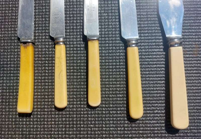 JOSEPH ROGERS & SONS CUTLERY TO HIS MAJESTY AMONGST A SET OF 5 ENGLISH FAUX BONE HANDLE KNIVES