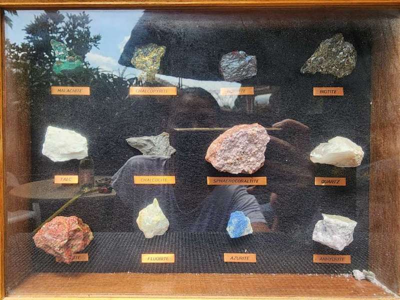 Beautiful ROCK and MINERAL Collection in Wooden Display Cabinet