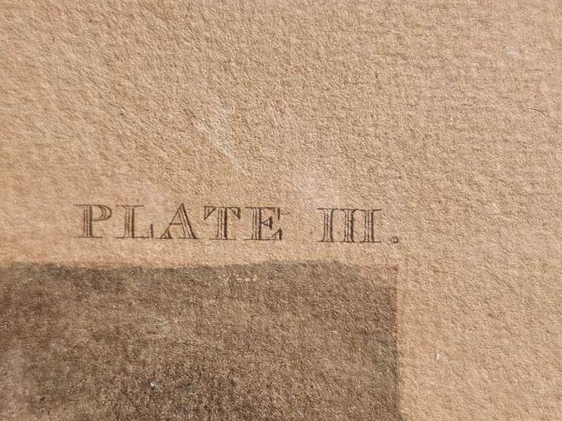 Plate III First Steeple-Chase On Record 1839 Very Rare Original Coloured Aquatint Henry Alken