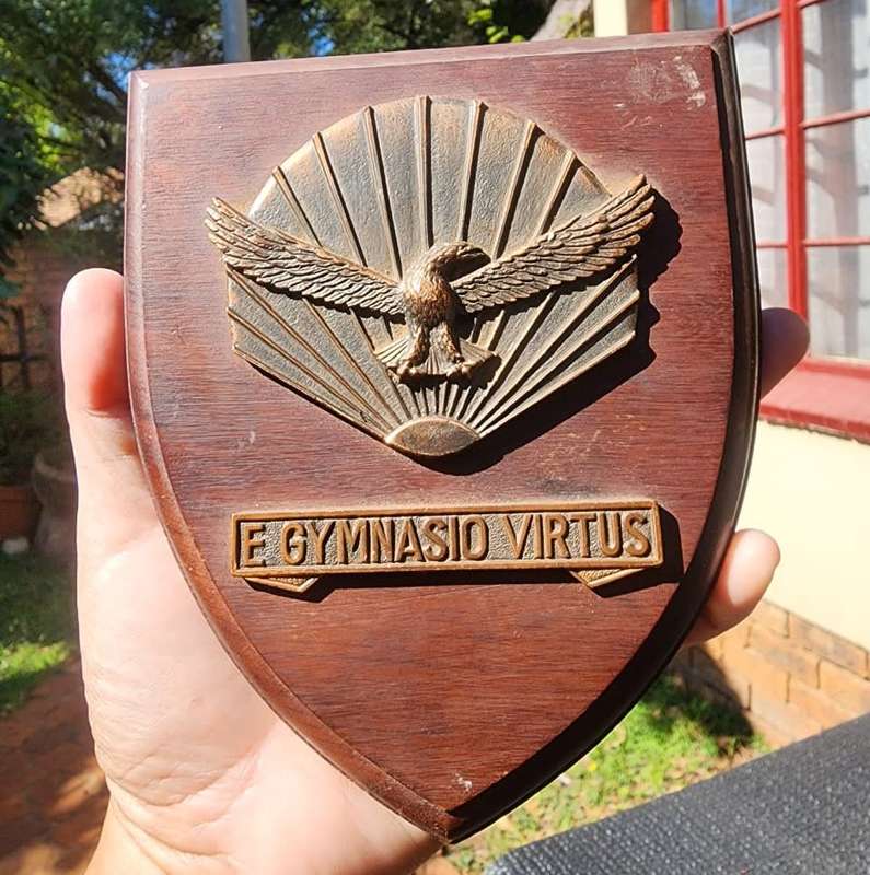 Two South African Airforce Plaques  SAAFA Plaque and Air Force Gymnasium Plaque