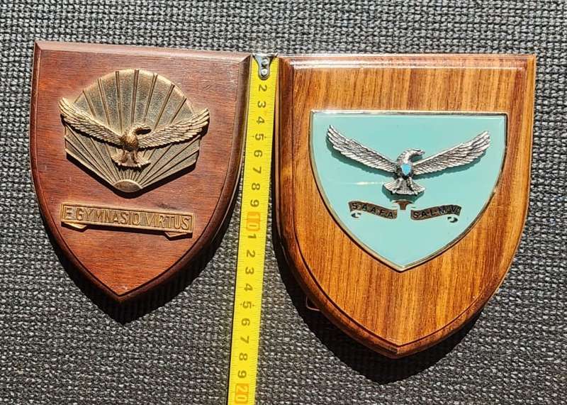 Two South African Airforce Plaques  SAAFA Plaque and Air Force Gymnasium Plaque