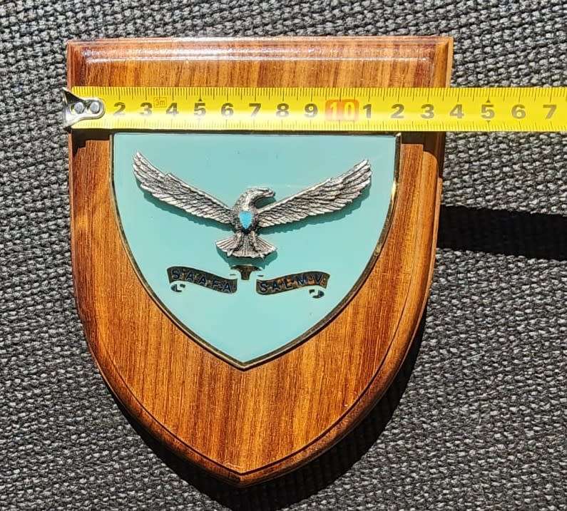 Two South African Airforce Plaques  SAAFA Plaque and Air Force Gymnasium Plaque