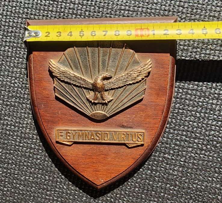 Two South African Airforce Plaques  SAAFA Plaque and Air Force Gymnasium Plaque