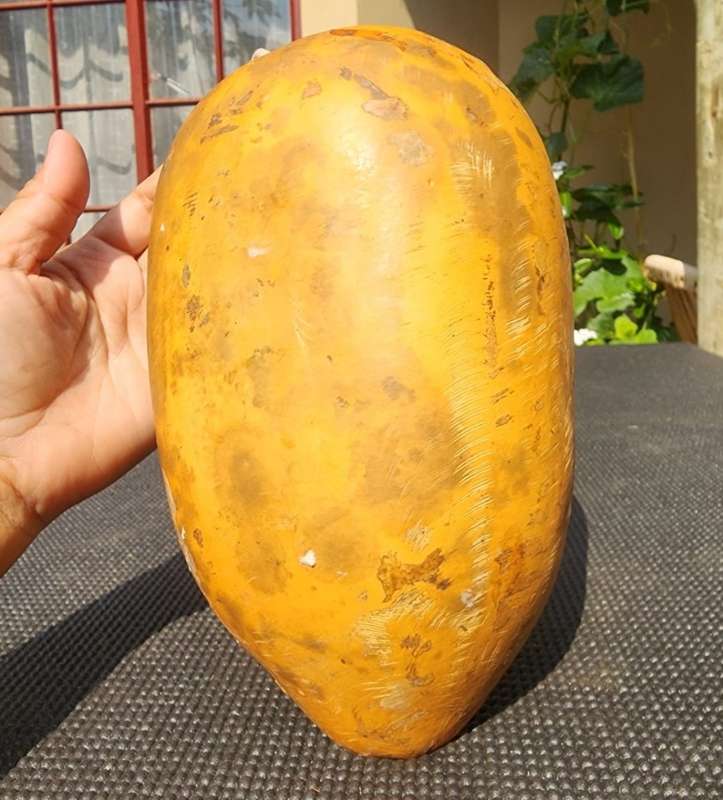 Vintage Mbira Thumb Piano Shona People Zimbabwe