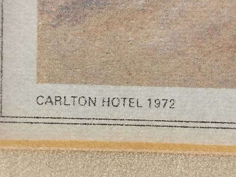 Wonderful Historical Thomas Baines (1820-1875) Buffalo Weaver Print Carlton Hotel 1972 Africana Muse