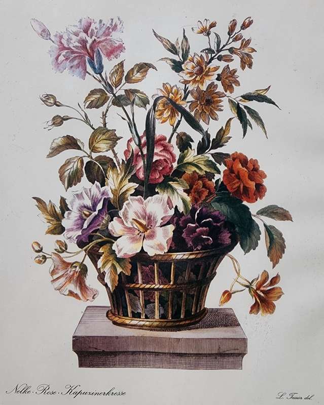 Louis Tessier Bouquet of Flowers in Basket a Print after a 1775 Handcoloured Engraving