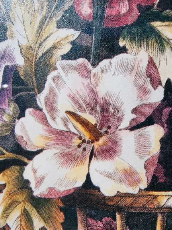 Louis Tessier Bouquet of Flowers in Basket a Print after a 1775 Handcoloured Engraving