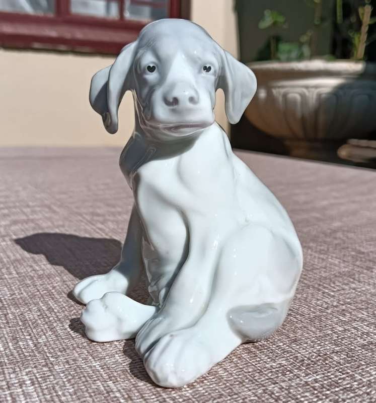 Super Rare Antique (1882-1915) Gebruder Heubach Germany Bisque Porcelain Puppy