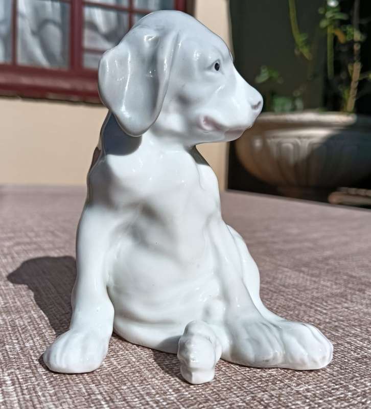 Super Rare Antique (1882-1915) Gebruder Heubach Germany Bisque Porcelain Puppy