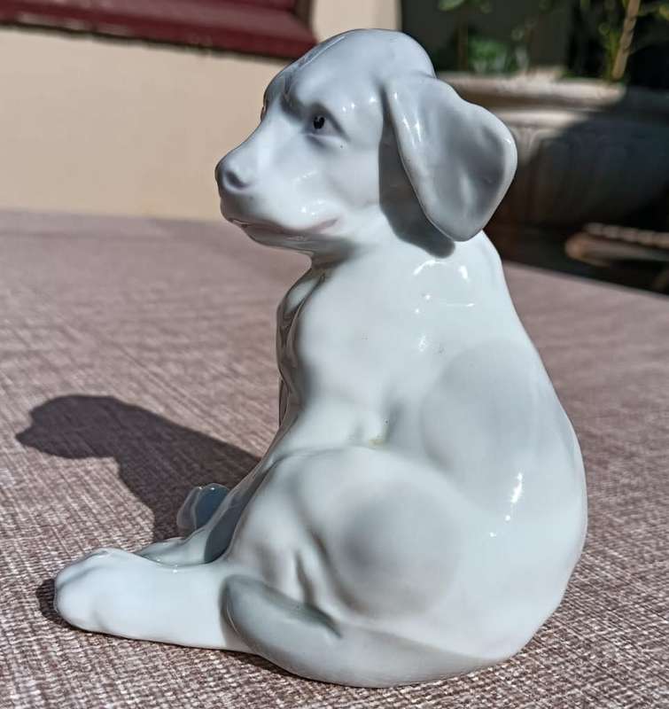 Super Rare Antique (1882-1915) Gebruder Heubach Germany Bisque Porcelain Puppy