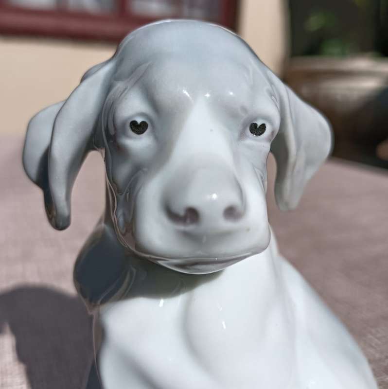 Super Rare Antique (1882-1915) Gebruder Heubach Germany Bisque Porcelain Puppy