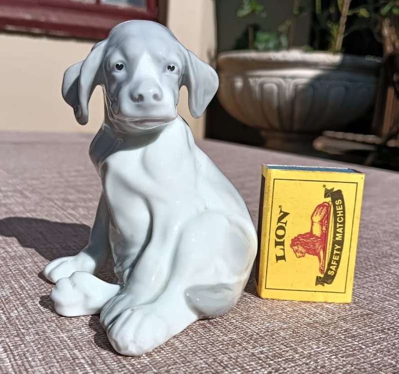 Super Rare Antique (1882-1915) Gebruder Heubach Germany Bisque Porcelain Puppy