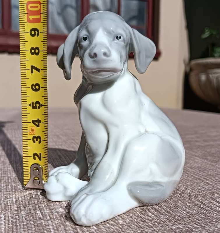 Super Rare Antique (1882-1915) Gebruder Heubach Germany Bisque Porcelain Puppy