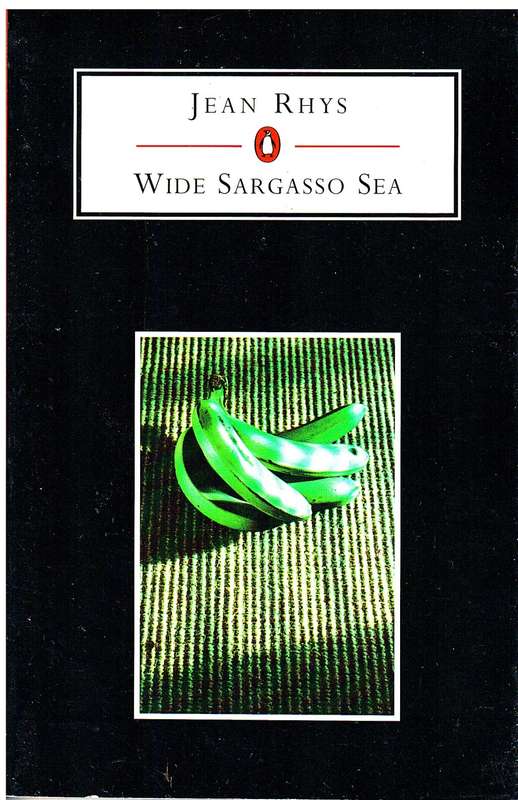 Wide Sargasso Sea - Jean Rhys (Penguin Student Edition)