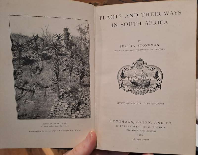 Plants and Their Ways In South Africa - Bertha Stoneman