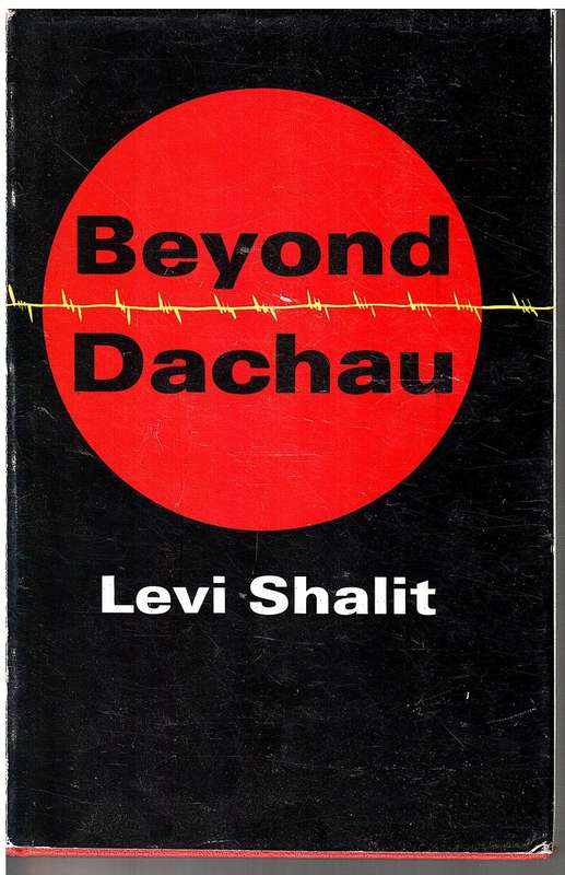 Beyond Dachau: Memories, Reflections - Levi Shalit
