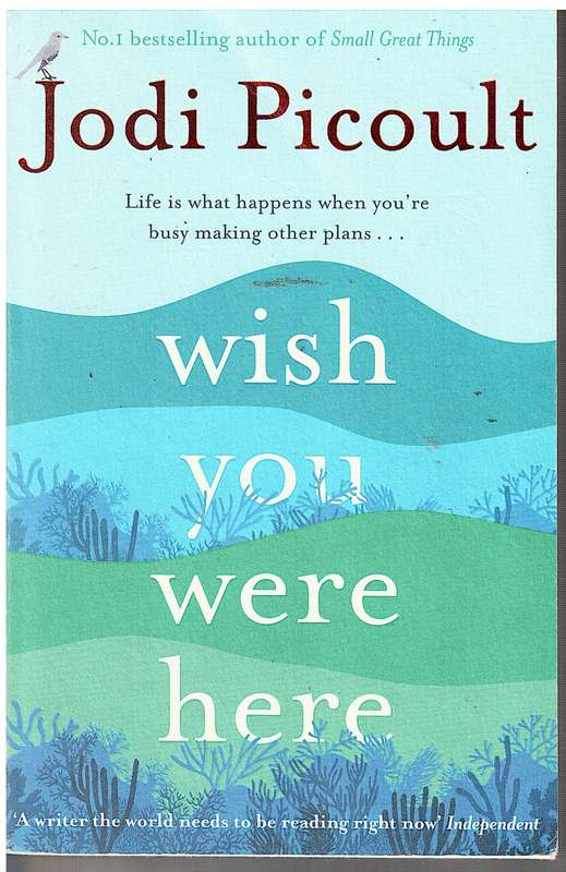Wish You Were Here - Jodi Picoult