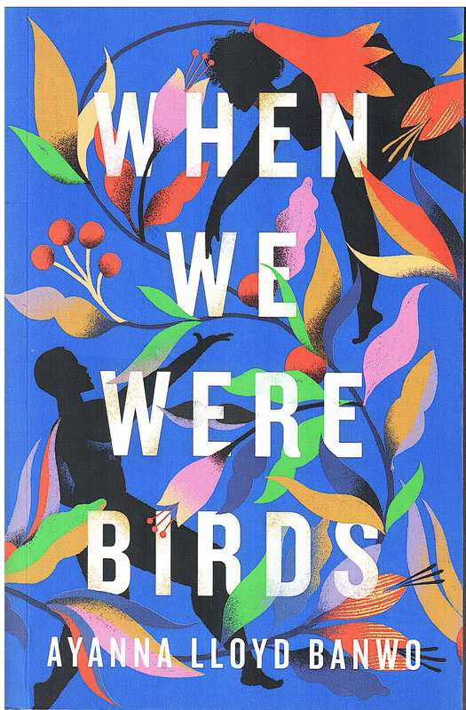 When We Were Birds - Ayanna Lloyd Banwo