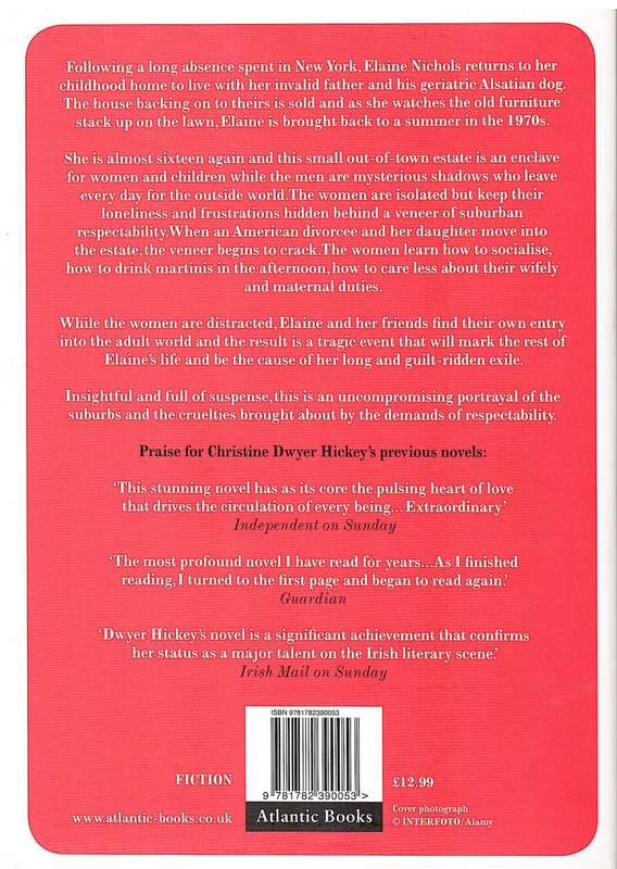 The Lives of Women - Christine Dwyer Hickey